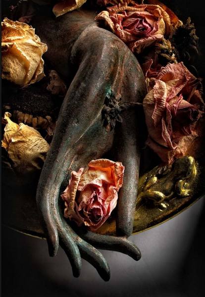 Photograph Joe Felzman Rose on One Eyeland